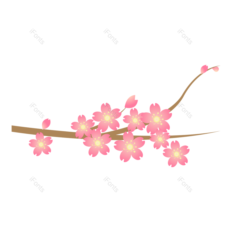 插画图片,树枝元素,樱花PNG,春天免抠素材